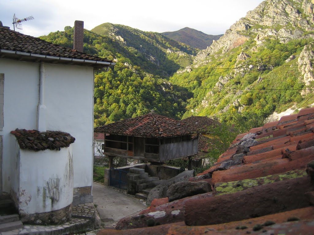 Pigüeña - Somiedu - Asturies - España by houses2668