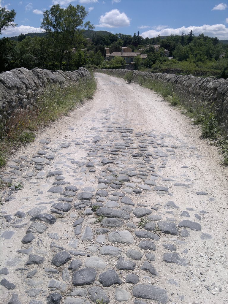 Pont romain vers Viviers 2012 by bernard sublet