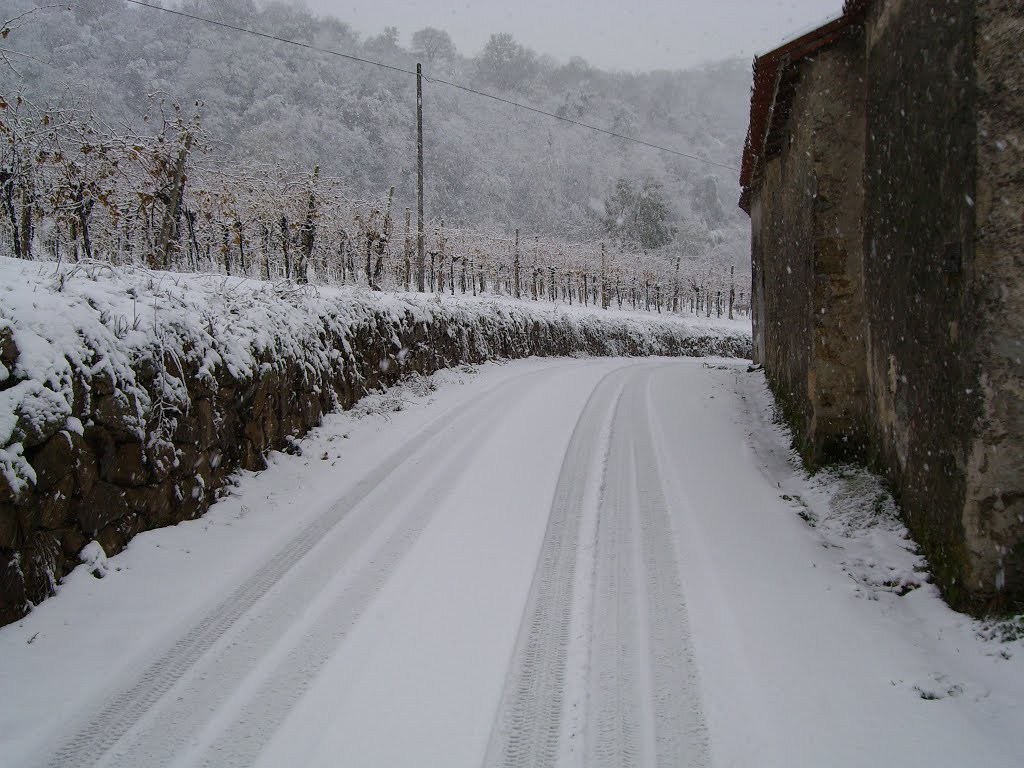 Neve sui Colli Euganei - via Morandine by Marco T.