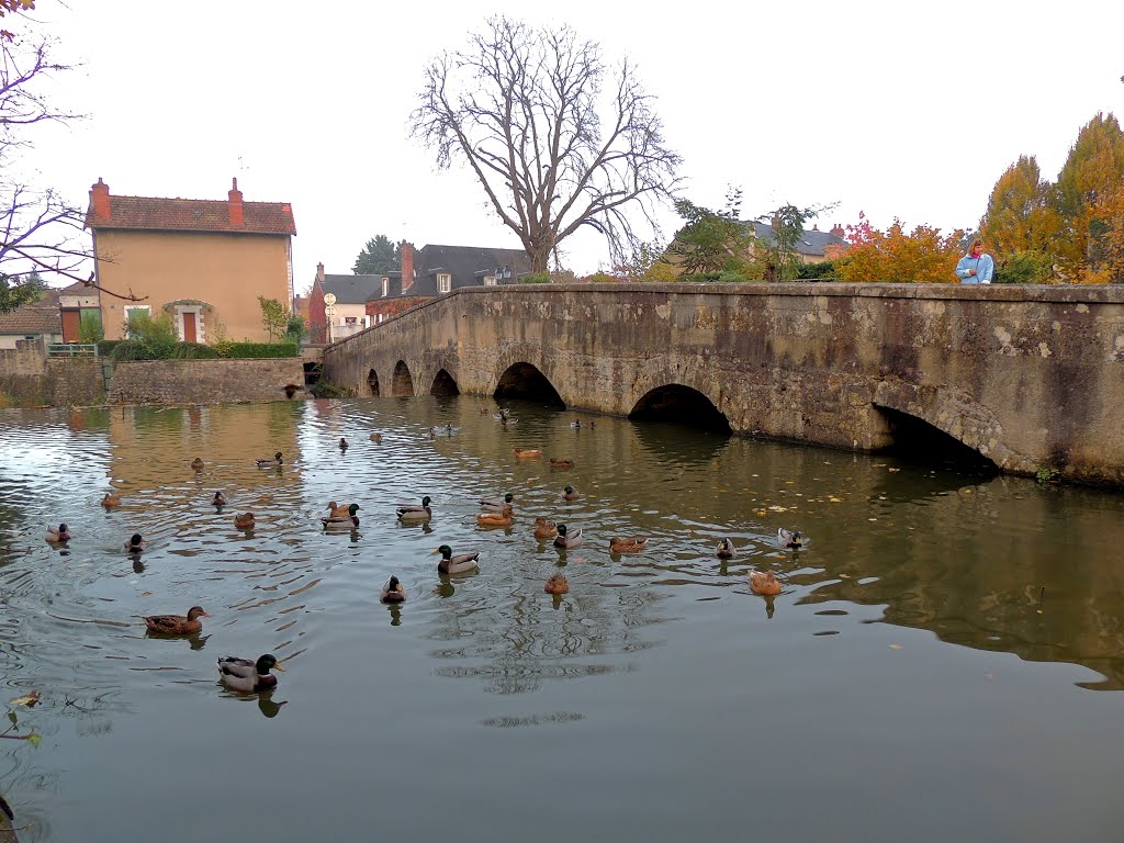 Saint-Amand-Montrond, pont du XVIIème sur la Marmande by tofil44