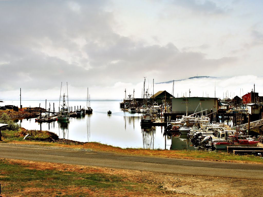 Marina - Garibaldi, Tillamook, Oregon by eculata