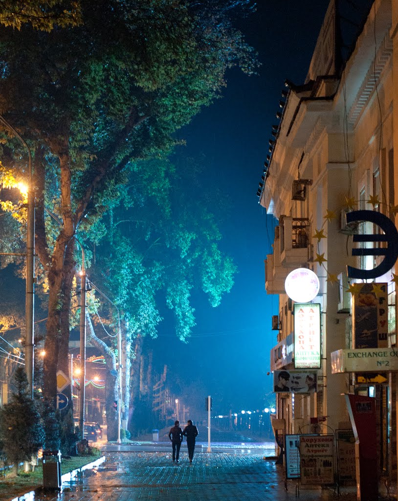 Rain walk (Dushanbe) by SGarifullin