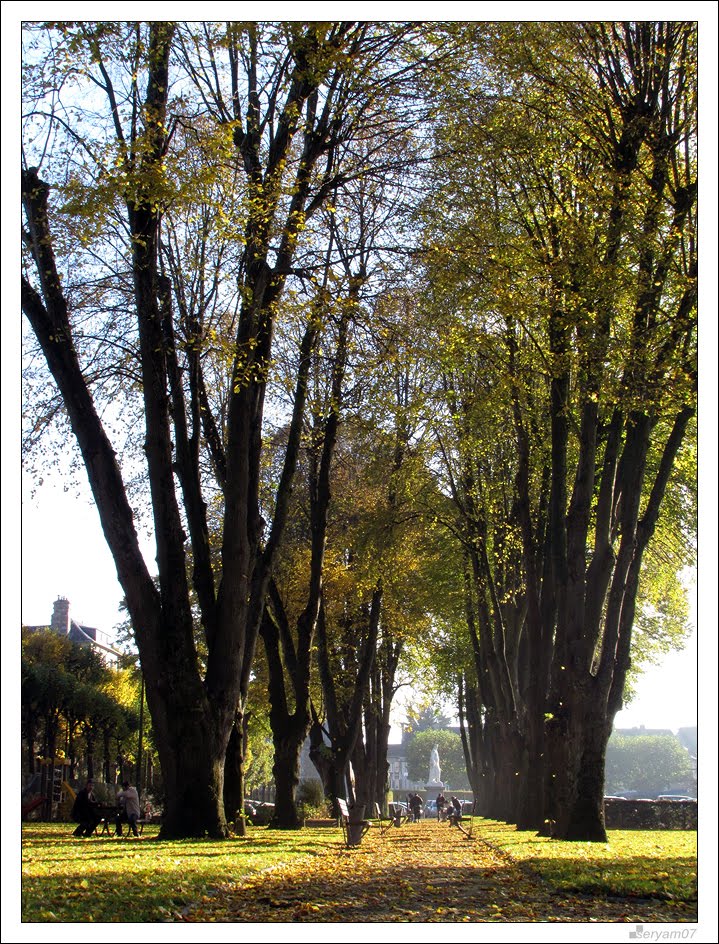 Avranches : Tilleuls du Jardin de l'Evêché by seryam