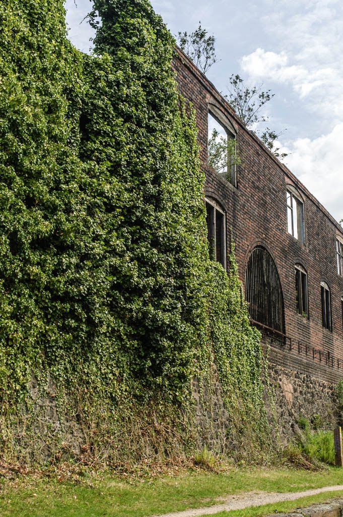 Overgrown wall. Chance's Glassworks Bridge by hilofoz