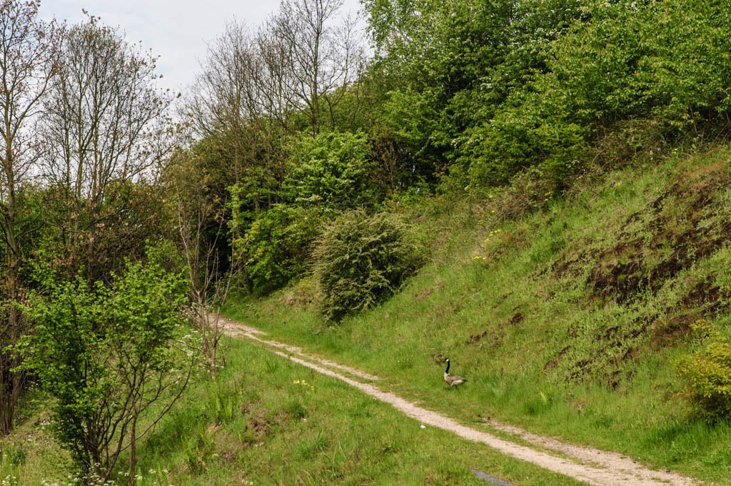 Footpath to Spon Lane Bridge by hilofoz