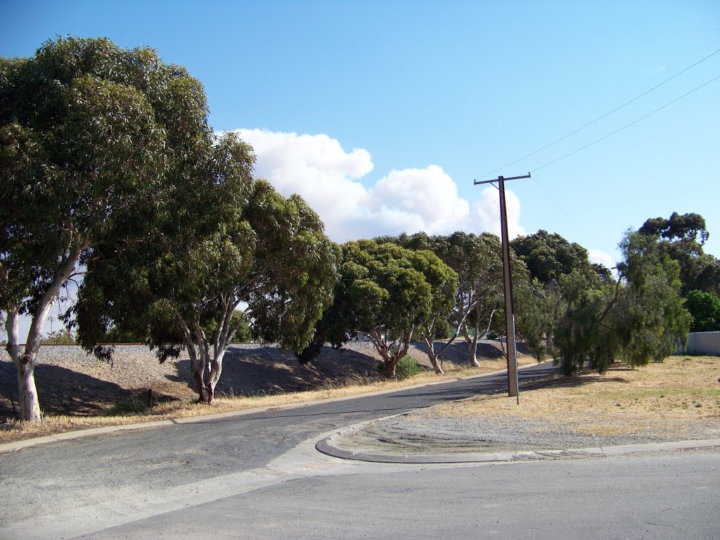 Smoke from Bushfire South of Port Lincoln11/11/12 by Glockie