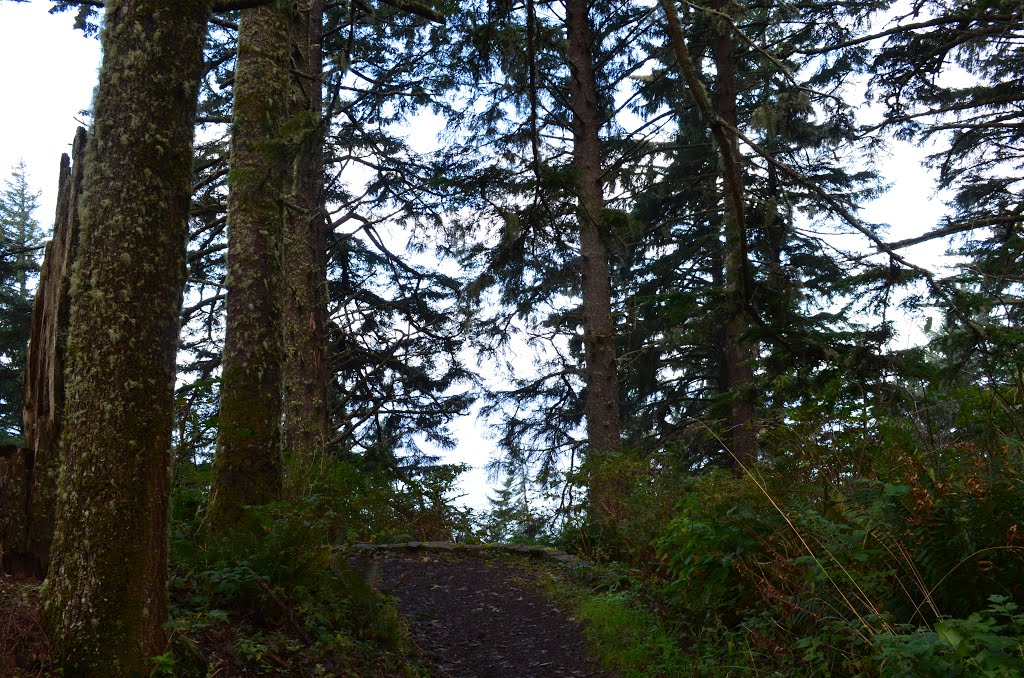 Hiking trail at Cape Perpetua by NorCal Tim