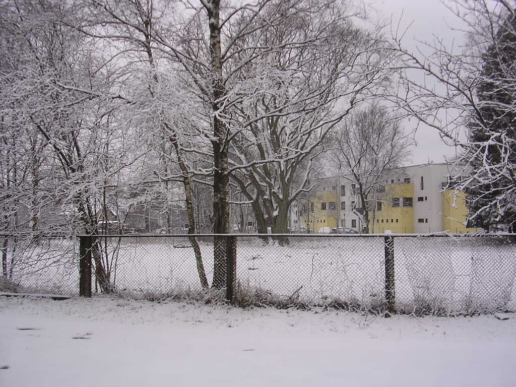 March snow in Mähe by Aulo Aasmaa