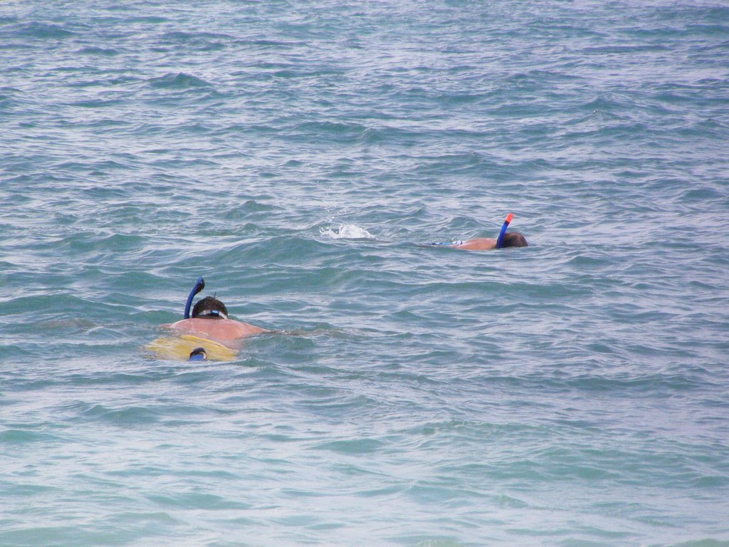 Snorkeling on the beach Playa del carmen -Coco Beach / Zubul Reef by corie anne