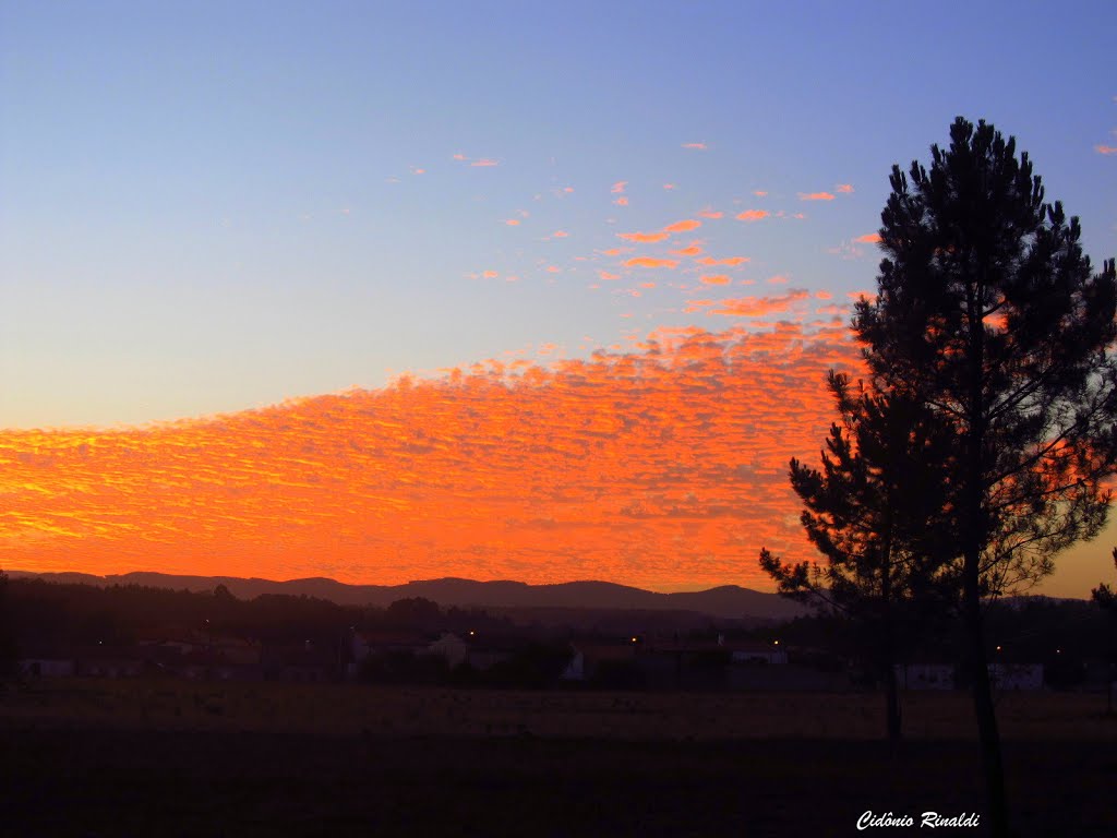 Amanhecer na IC2 - Portugal by CidonioRinaldi