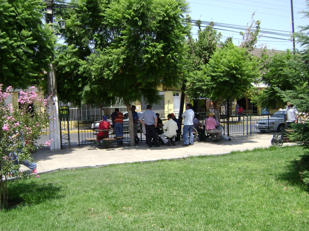 Plaza de Armas de Peñaflor (3) by elizabeth galindo baeza