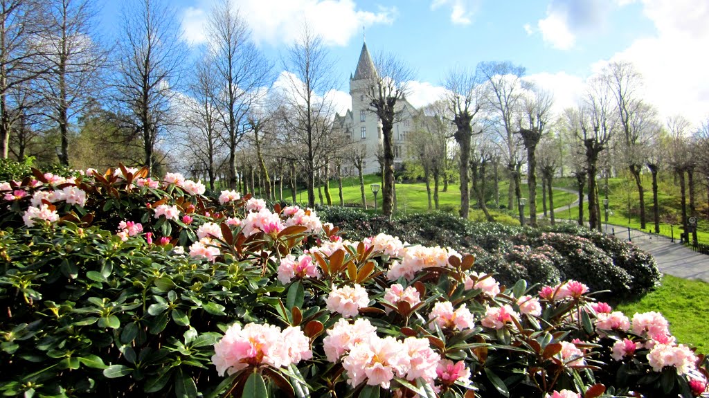 Beautiful Flowers and Gamlehaugen 12.05.2012 by trumanha