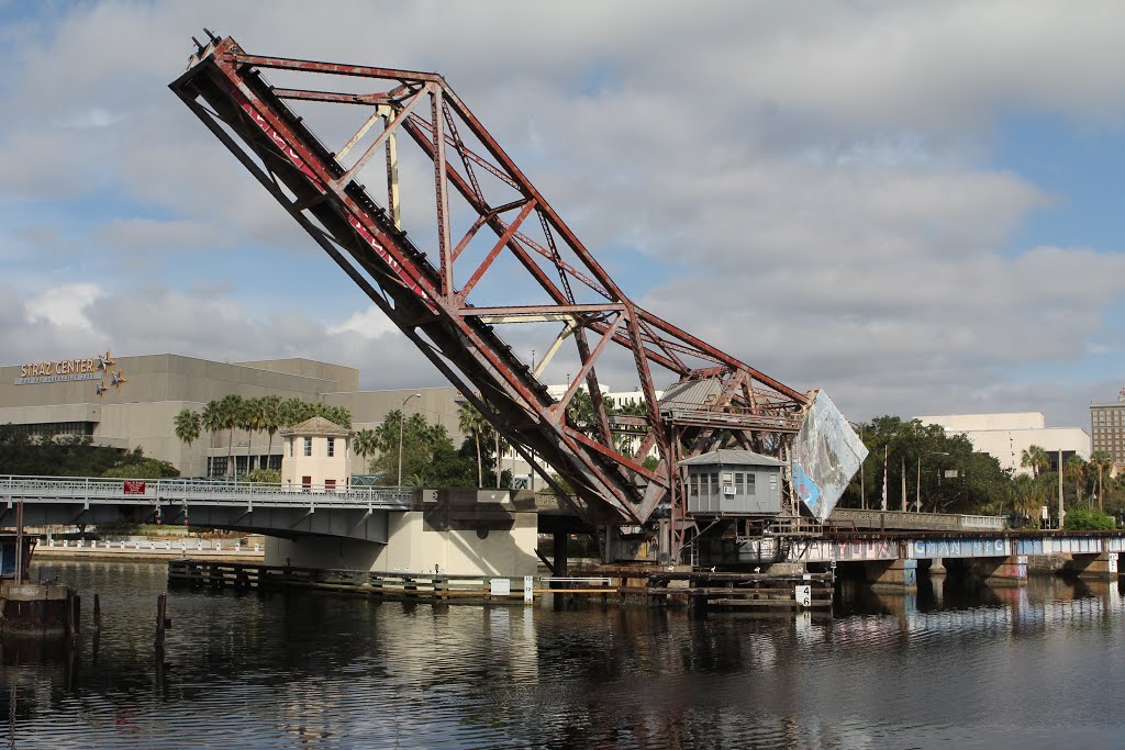 Train Bridge and Tampa river by R Melgar