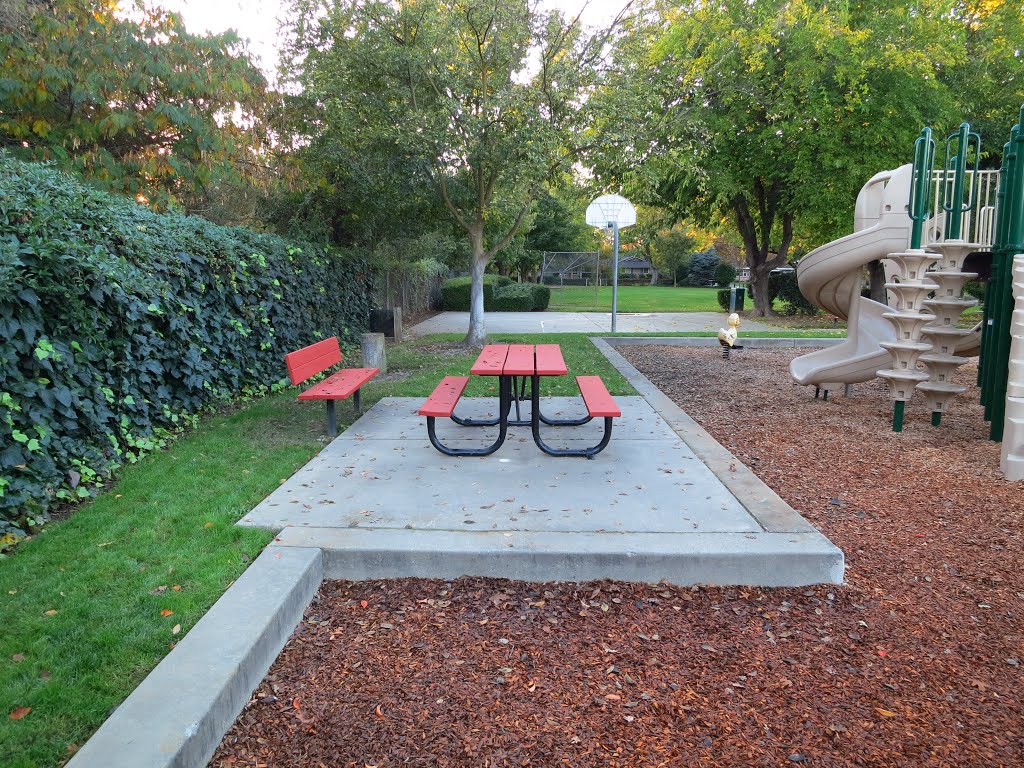 Picnic table near play structures by VasMan