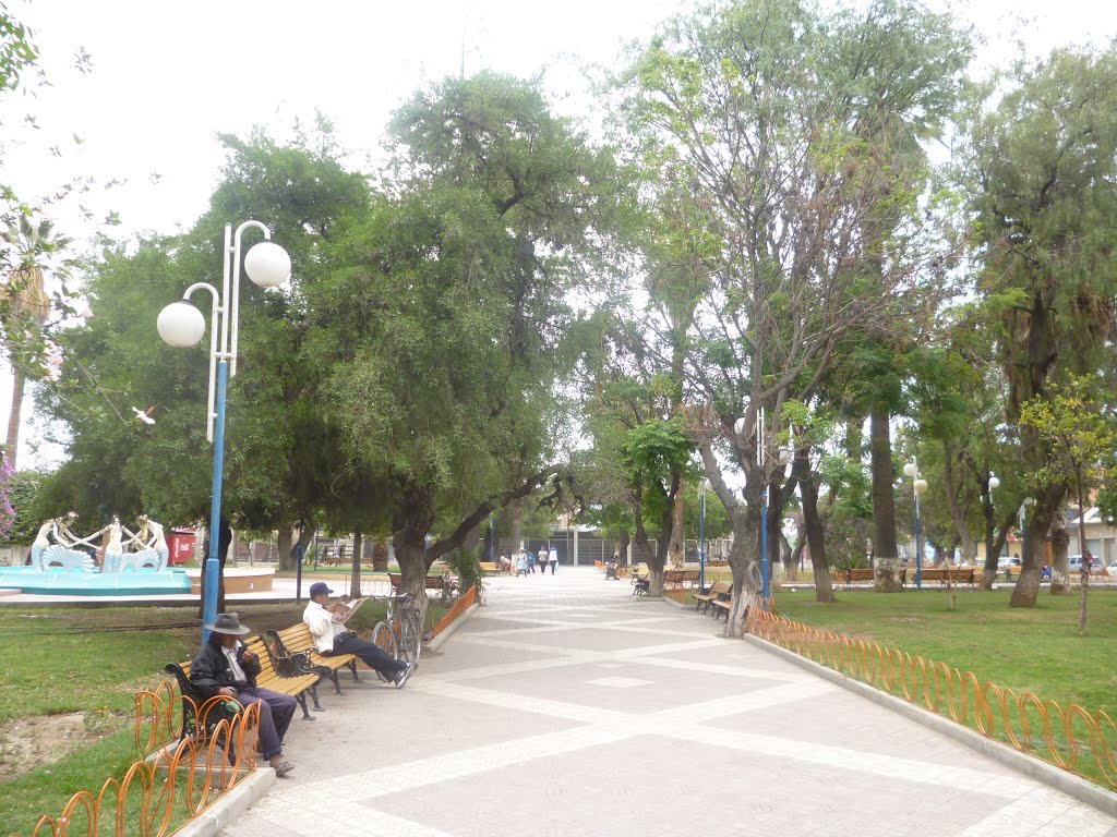 Pasaje central Plaza Hermando Siles by W. Franklin Ovando F. (EVILE)