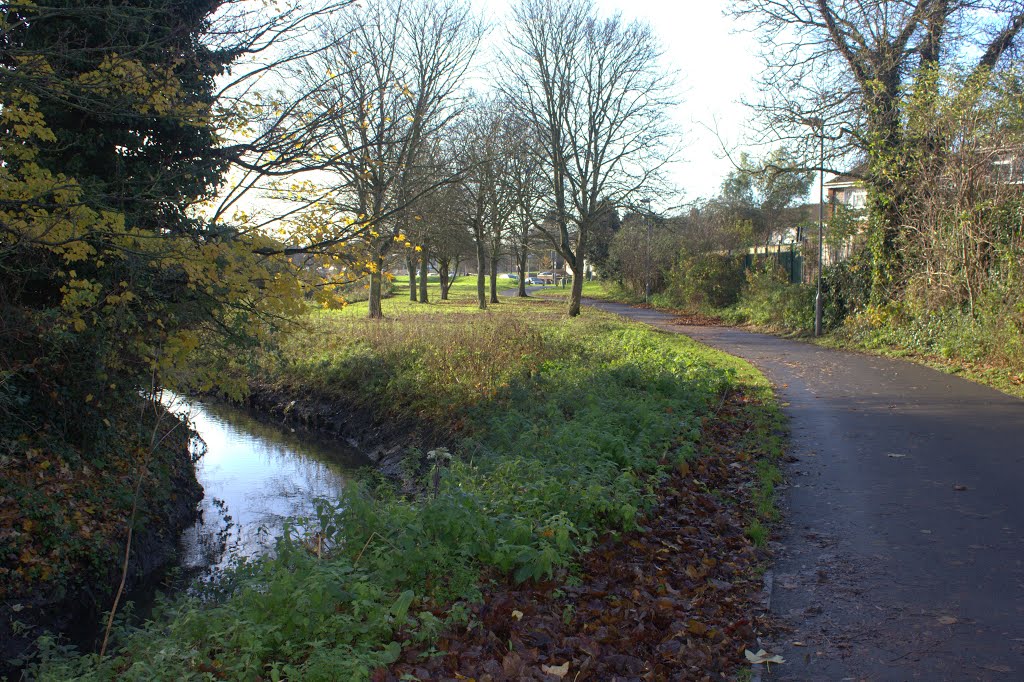 Cycleway & River Lea by Arnand