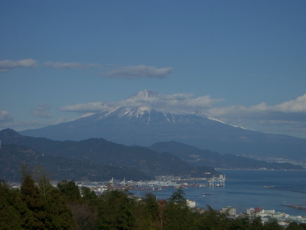 View on Mount Fuji from Nihondaira by erdling99