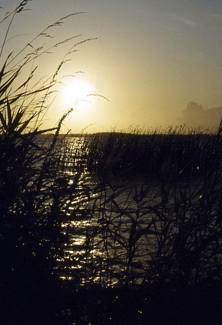 Lough Ennell (1980) by alitza