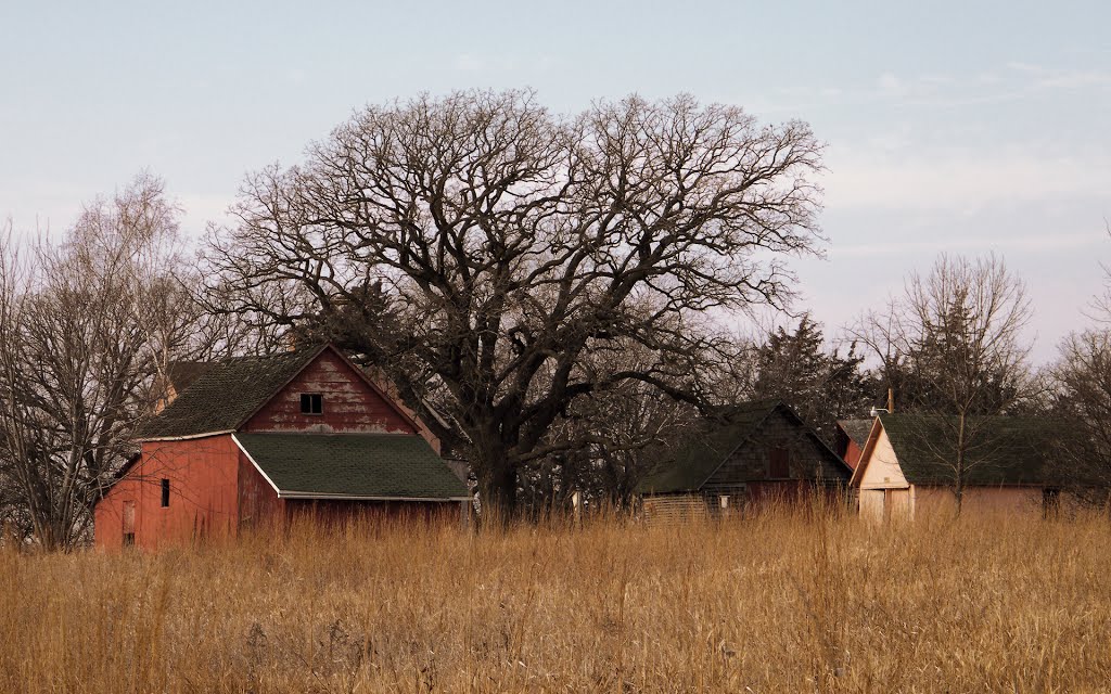 Old Farm with Oak, Ney Nature Center, Le Sueur County, Minnesota by © Tom Cooper