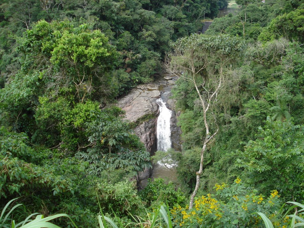 Queda d'agua, Rio Rosina by Carlos C. Nasato