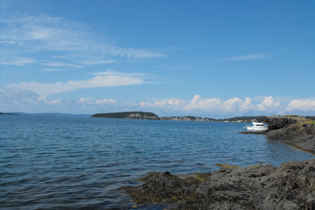 Dildo Harbour, NL by Snapdragon