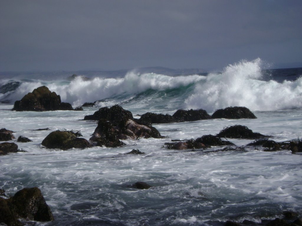 Rocas de Isla Negra (2) by elizabeth galindo ba…