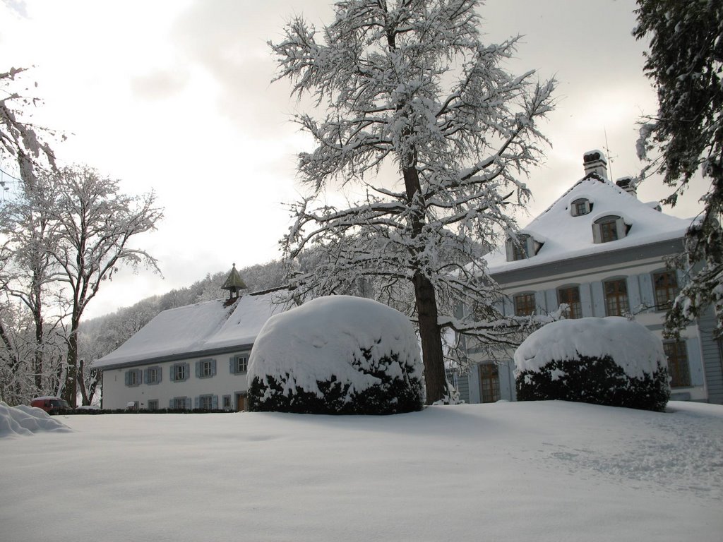 Schloss Ebenrain im Schnee by mshirst