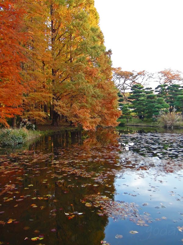 2012. Choufu,Tokyo. Japan [garden] by Godai