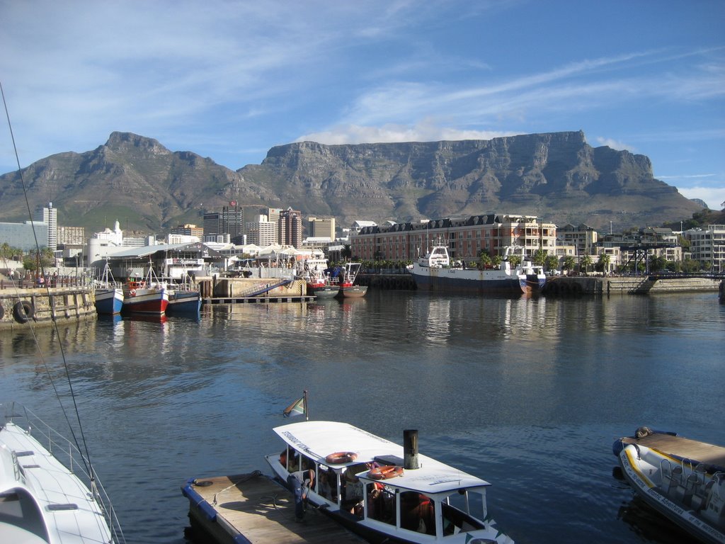 View of Table Mountain by richardtravel