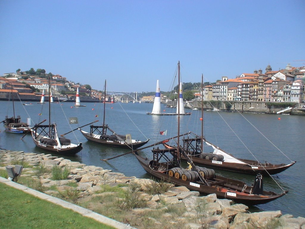 Porto - Rio Douro Red Bull 2007 by Jose Santos Silva