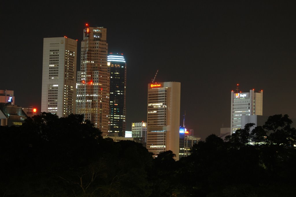 Singapore Skyline from YWCA by docekoydj