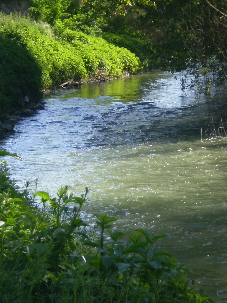 Canale Navile by michele martelli