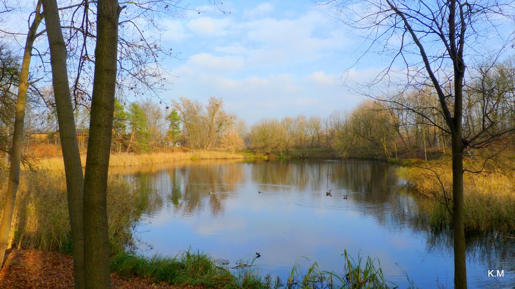 Bydgoszcz - staw przy ulicy Siedleckiej by Kazimierz .Mendlik