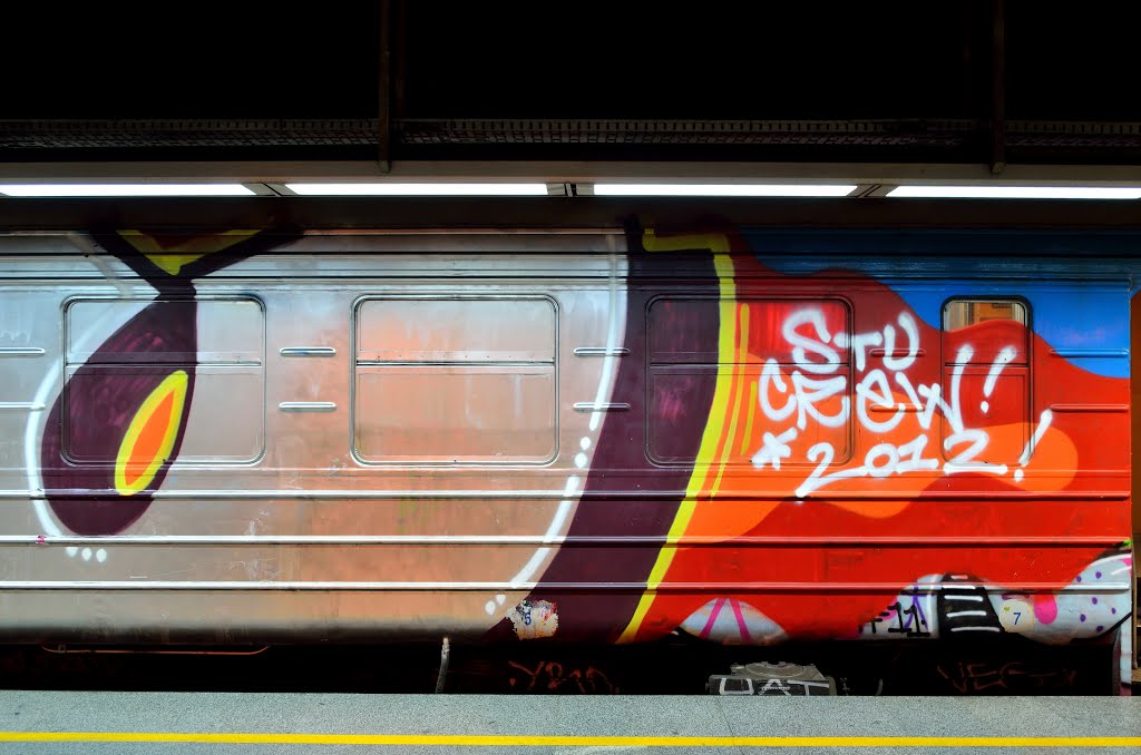 Шарени воз~~~Colorful Train by vladanscekic