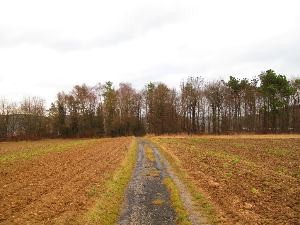 Hier geht´s zum Tannenweg by lebola