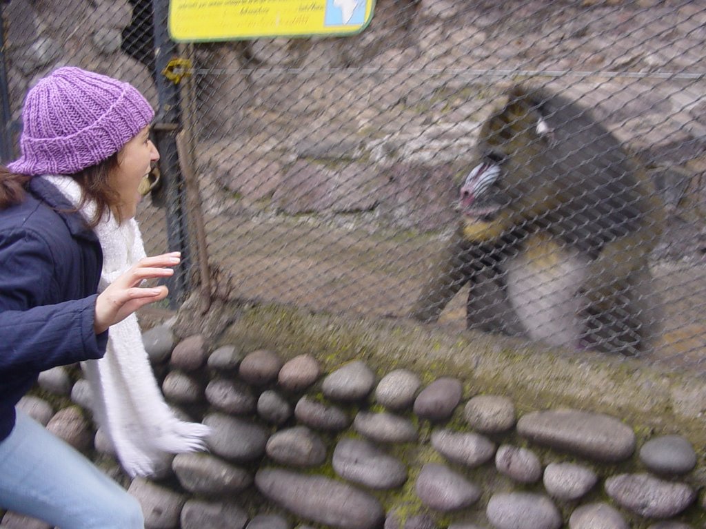 Zoológico de Mendoza 06-05 by an_dreya