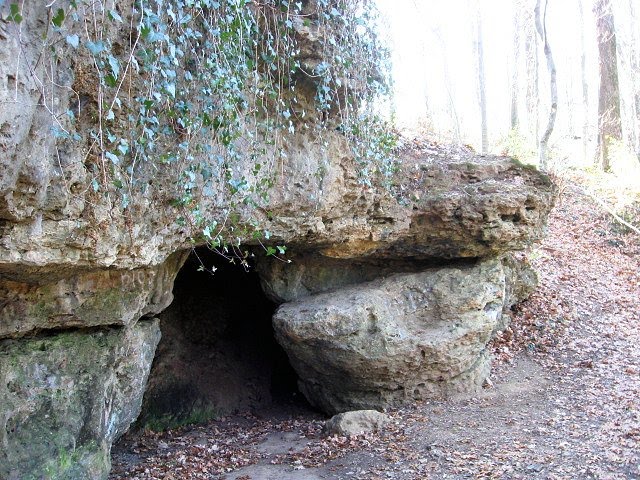 Cave Behind Highschool, Bardstown, KY by Woodland Trekker