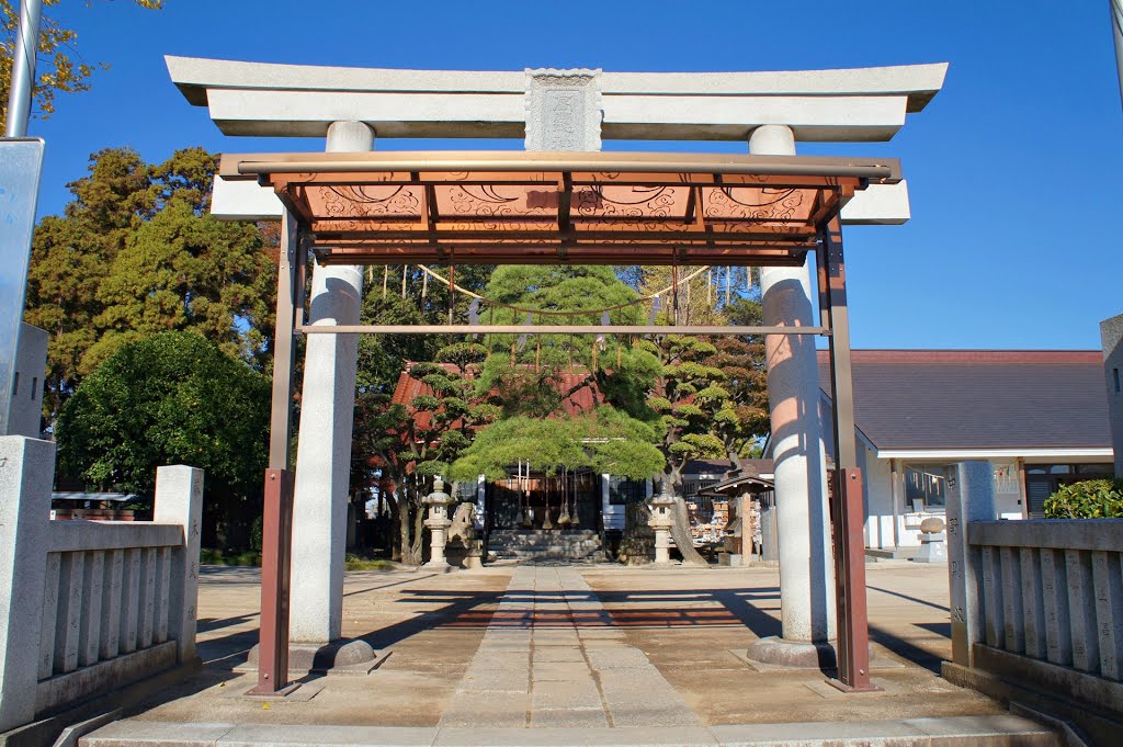 高お神社 -Takao Shrine- by Saruman8000