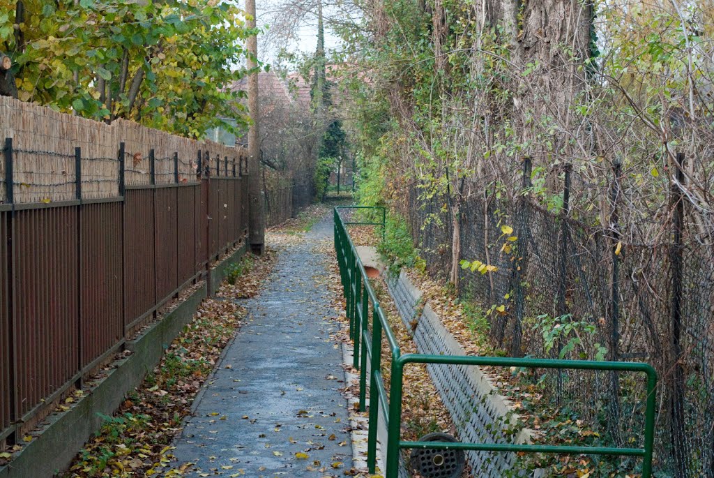 Cinkotai Strandfürdő (romjai) és környéke, 2012/11/24 by hatja-budapest