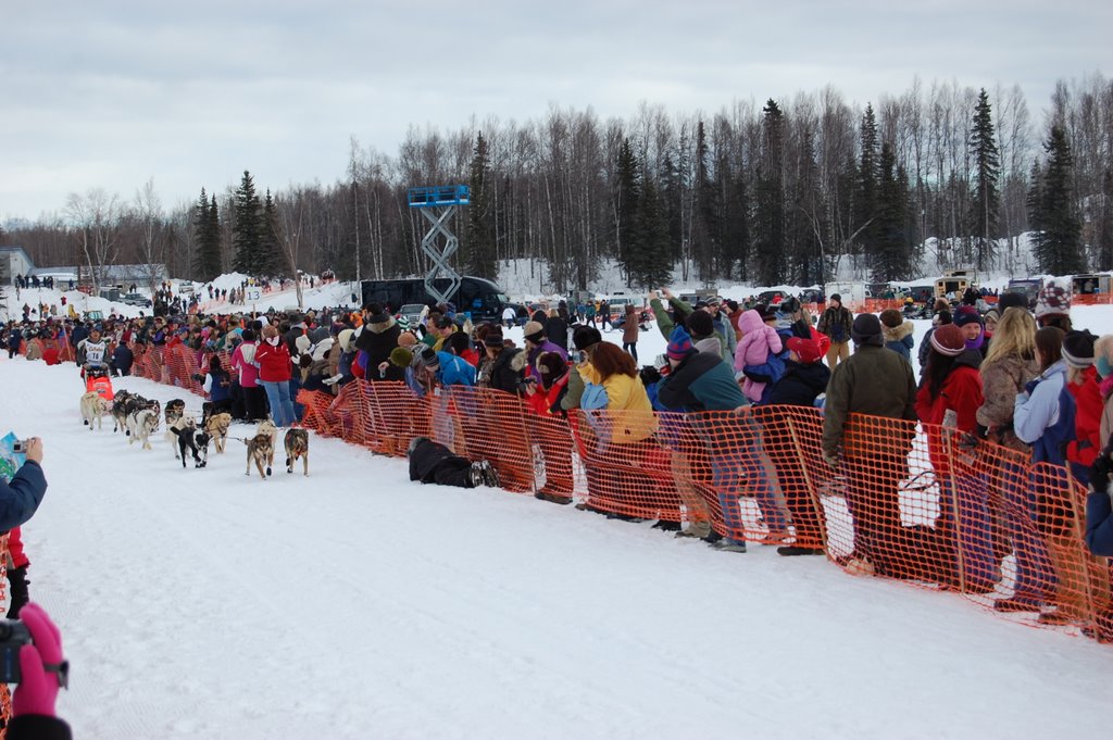 Off they go! 2008 Iditarod by George Curtis