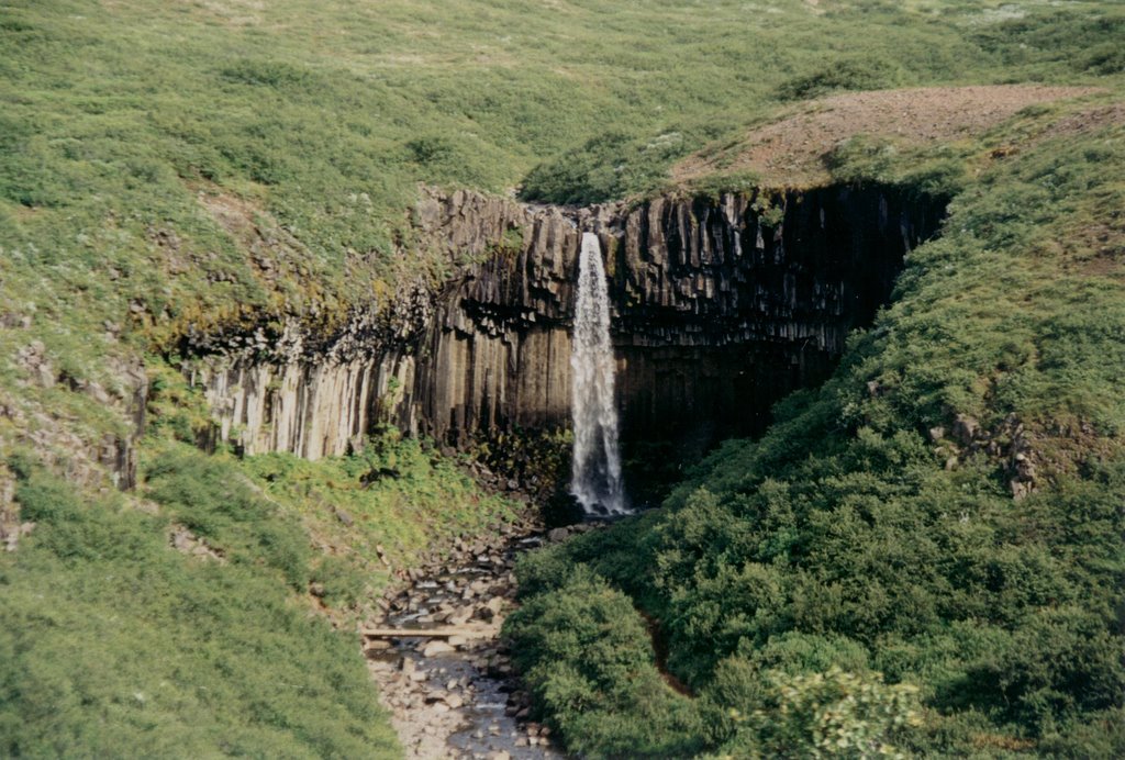 Svartifoss in Skaftafell by T.Michel