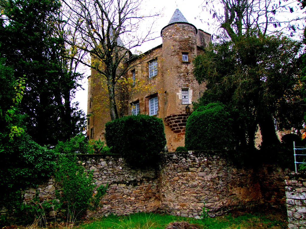 Chateau de Trévien by simbert