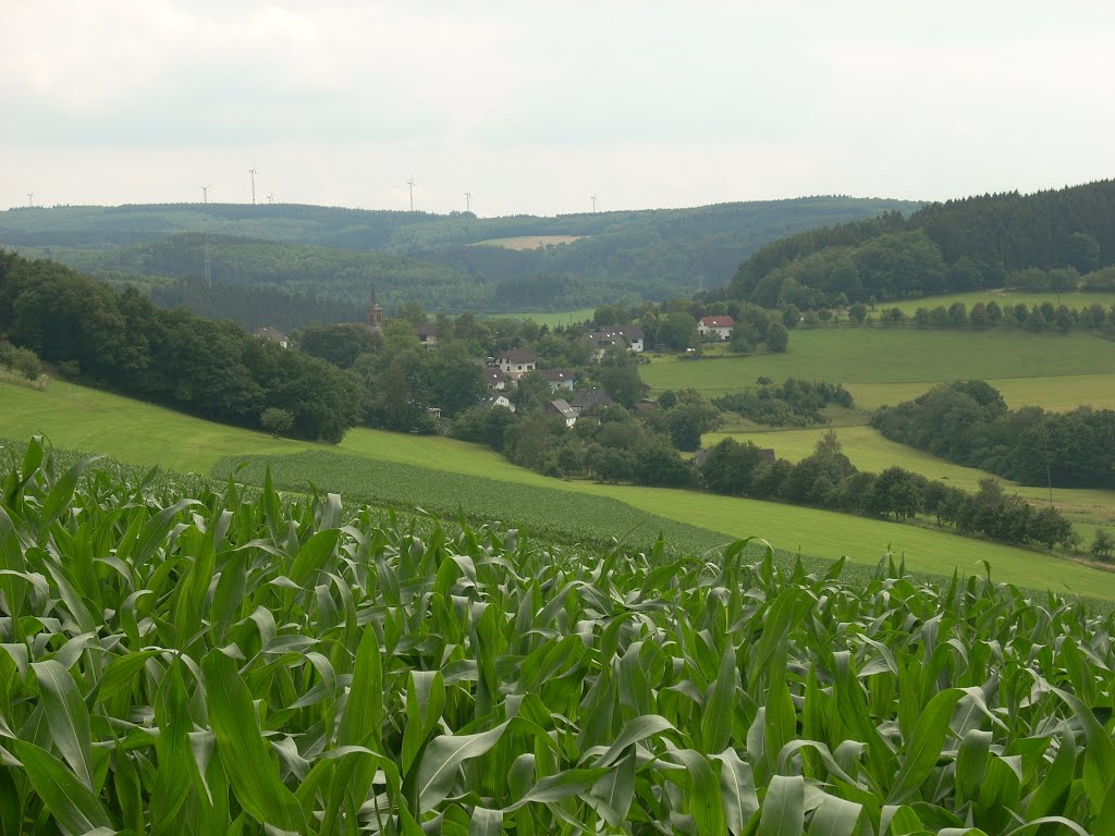 Mittelhof im Frühsommer by 63098MGH