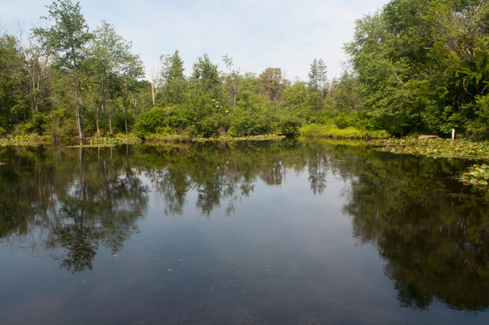 Hays Mill Creek Pond by hoganphoto