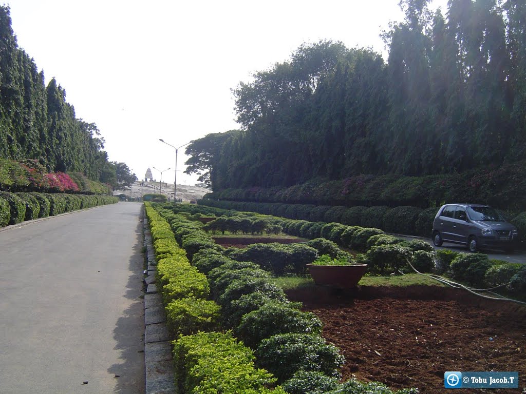 Lalbagh Botanical Garden, Bangalore by Tobu Jacob.T