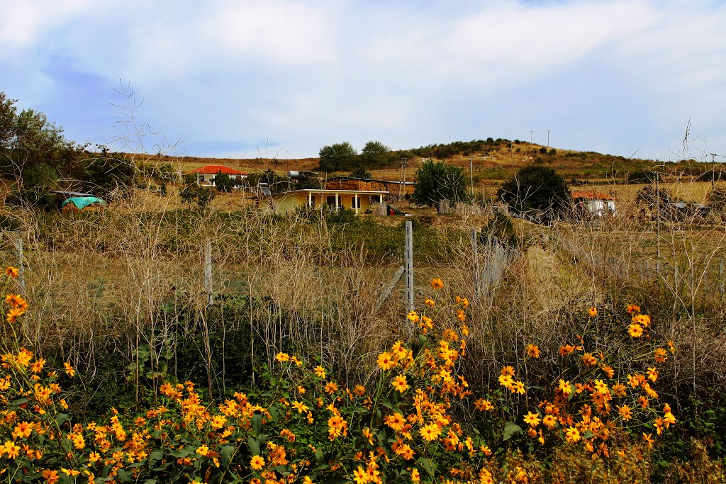 Albania: Vanaj... by Sofjan Kotorri