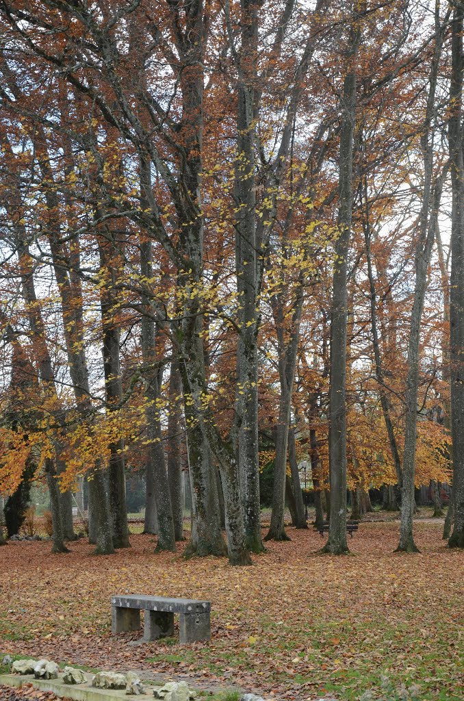 Parc Lons-le-saunier by fredounet