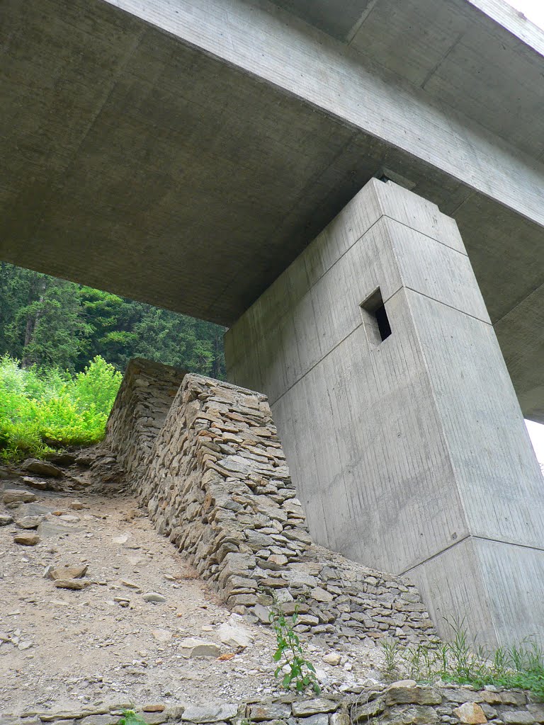 Via bassa della Leventina, tra Faido e Rodi fiesso by Bruno Conti Rossini