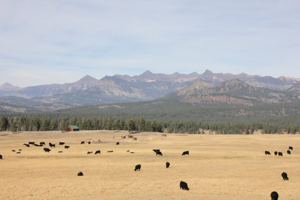 North of Pagosa springs on FR633 2012 by brucev