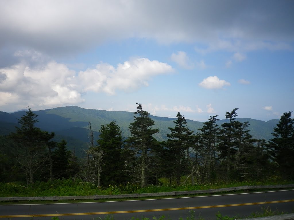 Mt. Mitchell by Sam Nabi